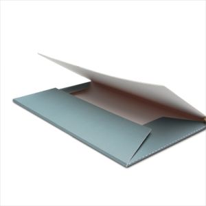 Affichemap 301 - ICN 3/11