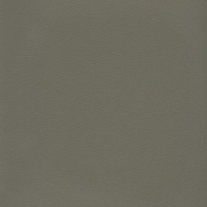 Arbelave Library Buckram - 511