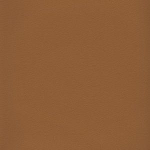 Arbelave Library Buckram - 586