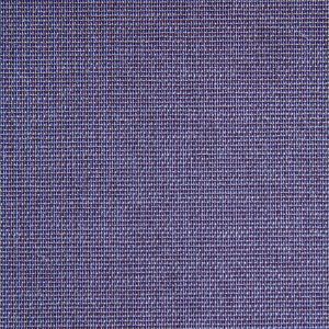 Tasmania - 7003 violet