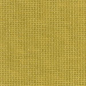 Assuan - 5036