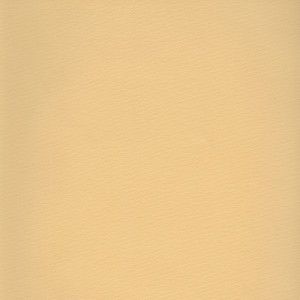 Arbelave Library Buckram - 579